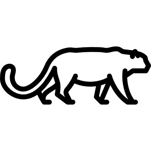 leopardo de nieve Special Lineal icono