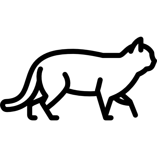 gato salvaje Special Lineal icono
