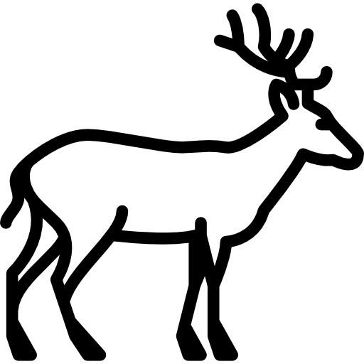 cervo Special Lineal icona