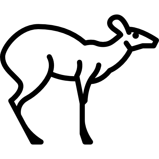 moschus Special Lineal icon