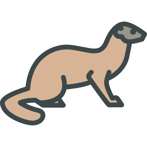 Weasel Special Lineal color icon