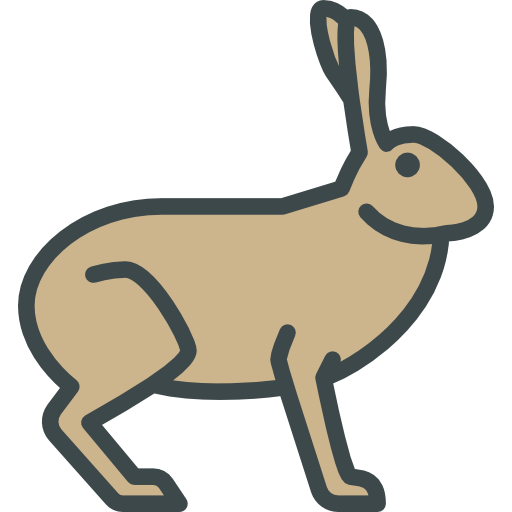 Hare Special Lineal color icon