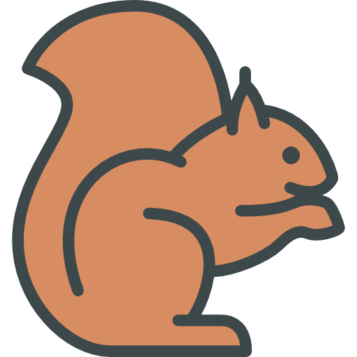 Squirrel Special Lineal color icon