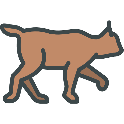 luchs Special Lineal color icon