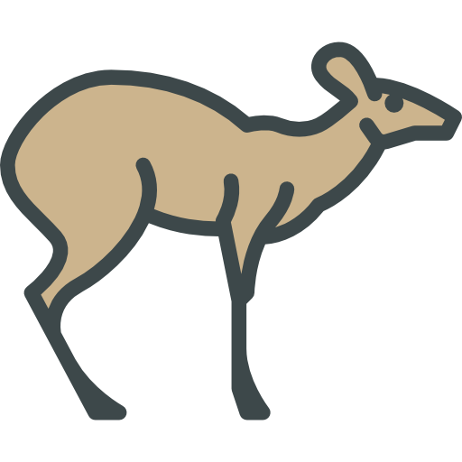 moschus Special Lineal color icon