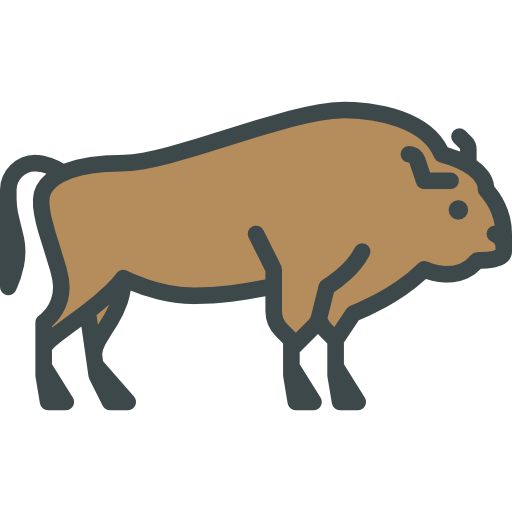 bizon Special Lineal color icoon