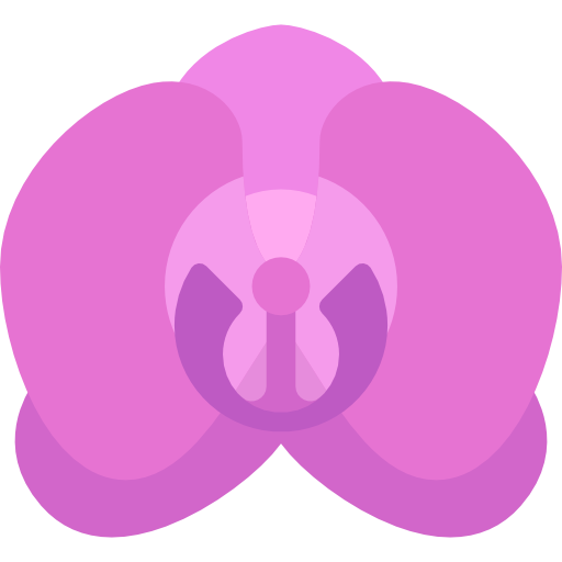 orquídea Special Flat Ícone