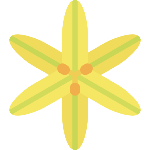 sisyrinchium Special Flat icon