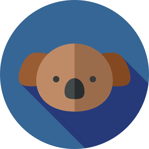 koala Flat Circular Flat icon