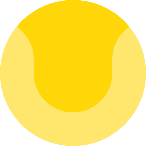 piłka Special Flat ikona