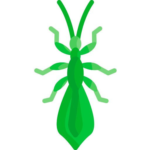 Листовое насекомое Special Flat иконка