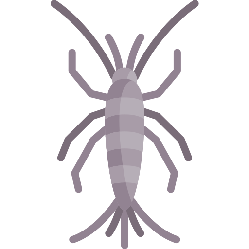 Silverfish Special Flat icon