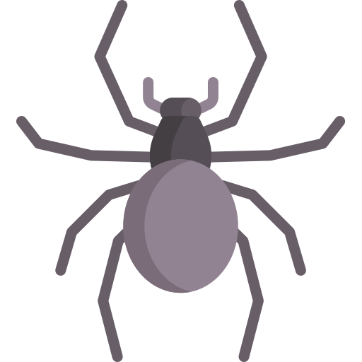 spinne Special Flat icon