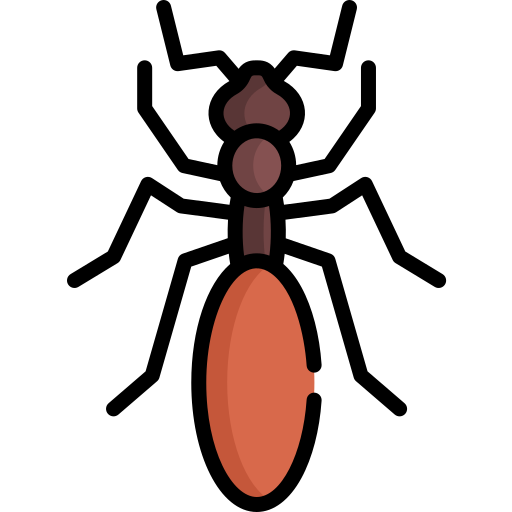 Hormiga Special Lineal color icono