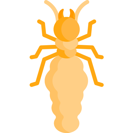 termite Special Flat icon