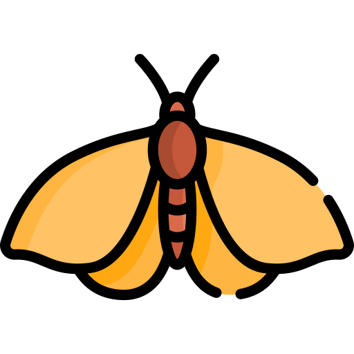 schmetterling Special Lineal color icon
