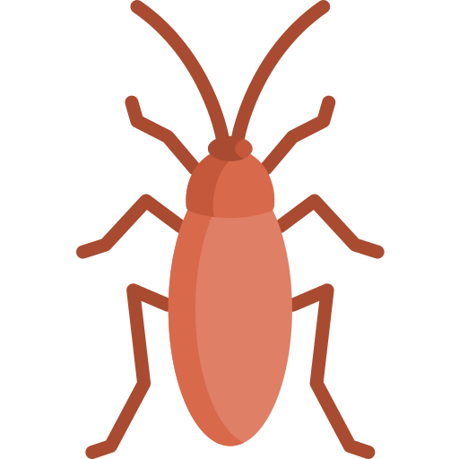 Cucaracha Special Flat icono