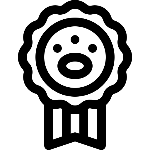 Medalla Basic Rounded Lineal icono