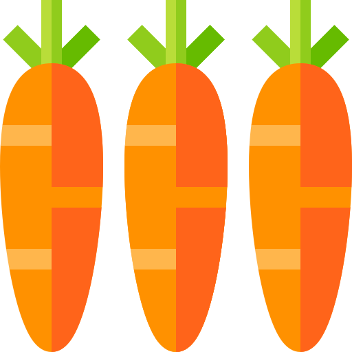 carote Basic Straight Flat icona