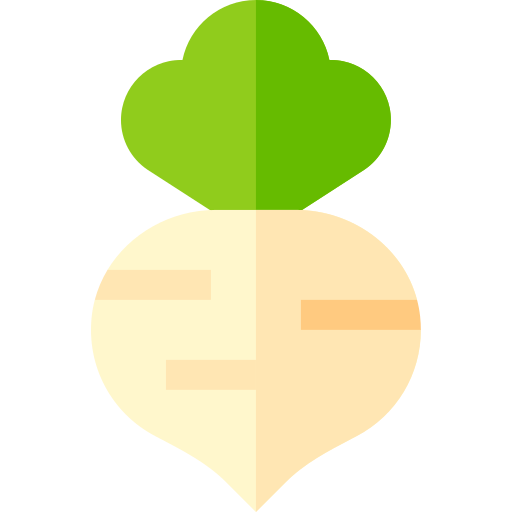 Turnip Basic Straight Flat icon