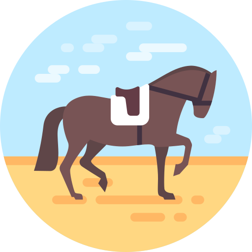 Equestrian Special Flat icon