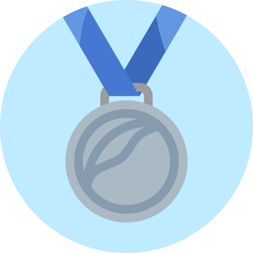 medalha de prata Special Flat Ícone