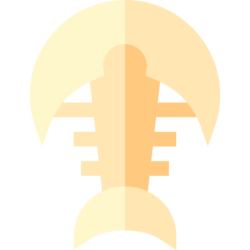 化石 Basic Straight Flat icon