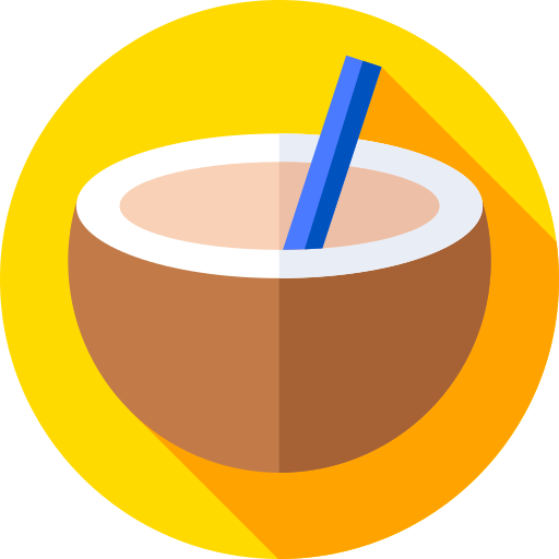 Coconut drink Flat Circular Flat icon