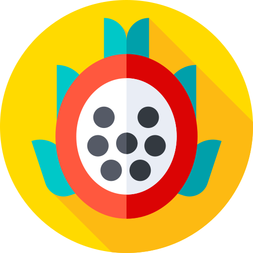 drakenfruit Flat Circular Flat icoon