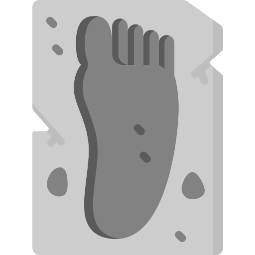 Footprint Special Flat icon