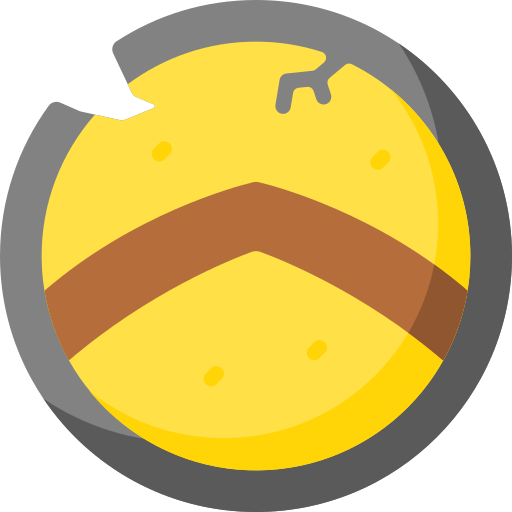 Shield Special Flat icon
