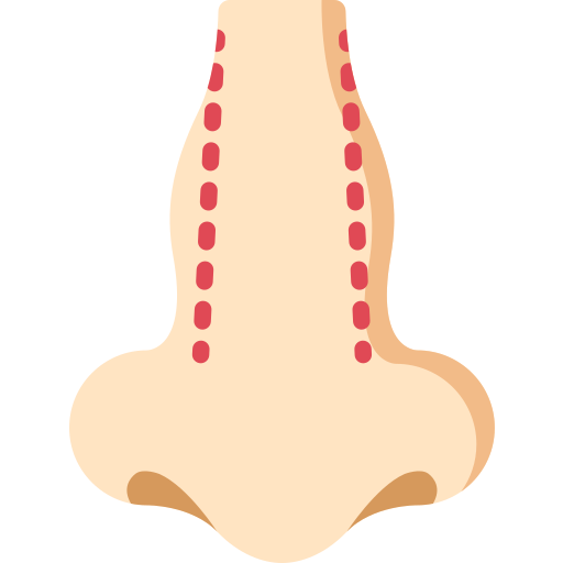 Rinoplastia Special Flat Ícone