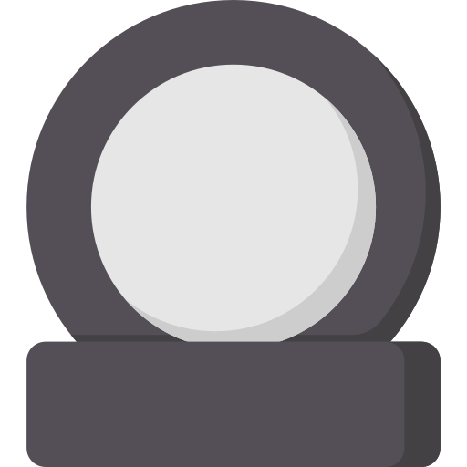 puck Special Flat icon