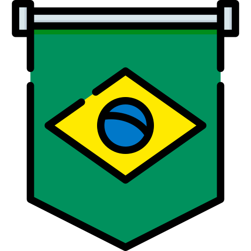 브라질 Special Lineal color icon