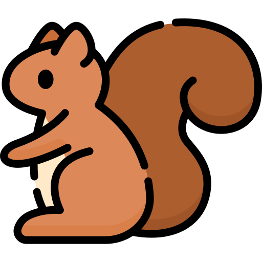 Squirrel Special Lineal color icon