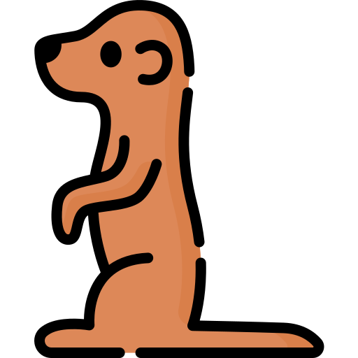 Meerkat Special Lineal color icon