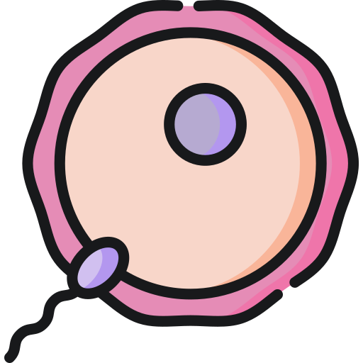Яйцеклетка Special Lineal color иконка