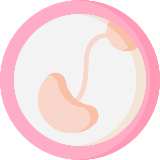 zwangerschap Special Flat icoon