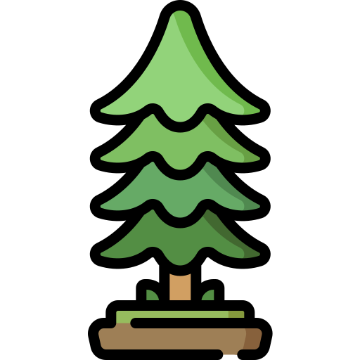 전나무 Special Lineal color icon