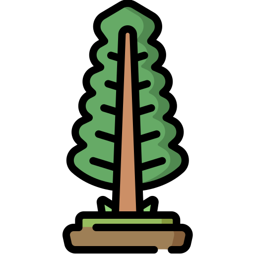 pijnboom Special Lineal color icoon