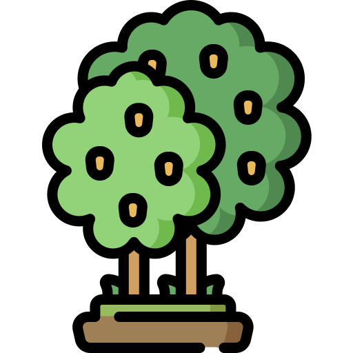 drzewo cytrynowe Special Lineal color ikona