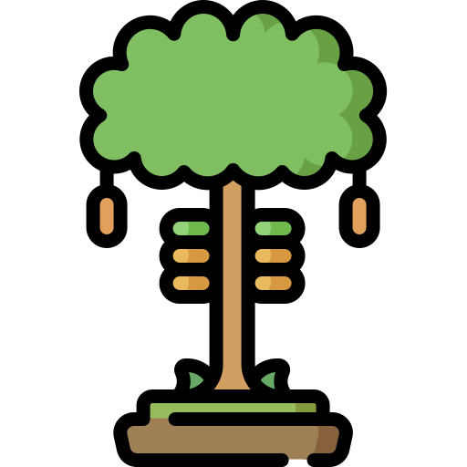 코코아 나무 Special Lineal color icon