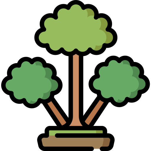 계피 나무 Special Lineal color icon