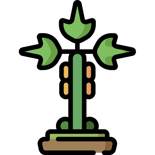 papaya Special Lineal color icon