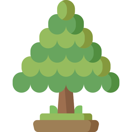 삼나무 Special Flat icon