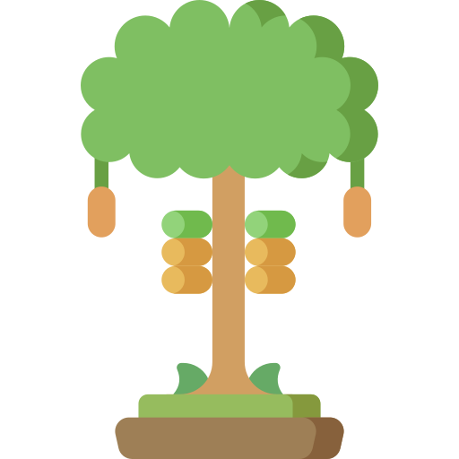 カカオの木 Special Flat icon