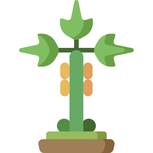 papaya Special Flat icon