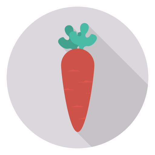 Carrot Dinosoft Circular icon