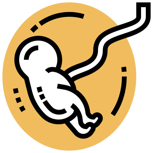 płód Meticulous Yellow shadow ikona