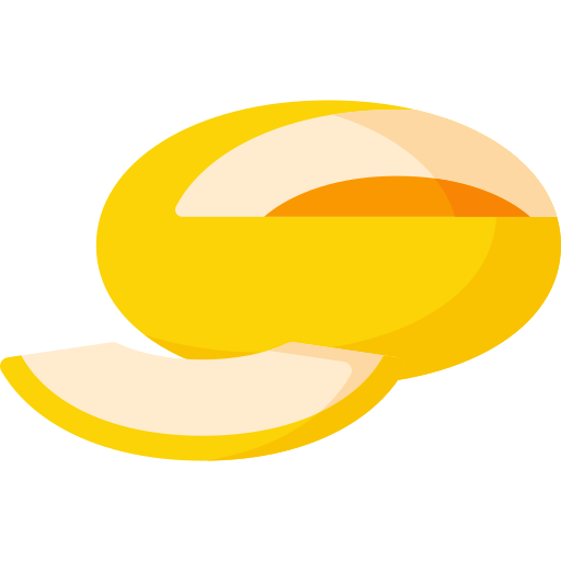 Melon Special Flat icon